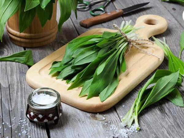 wild garlic cooking