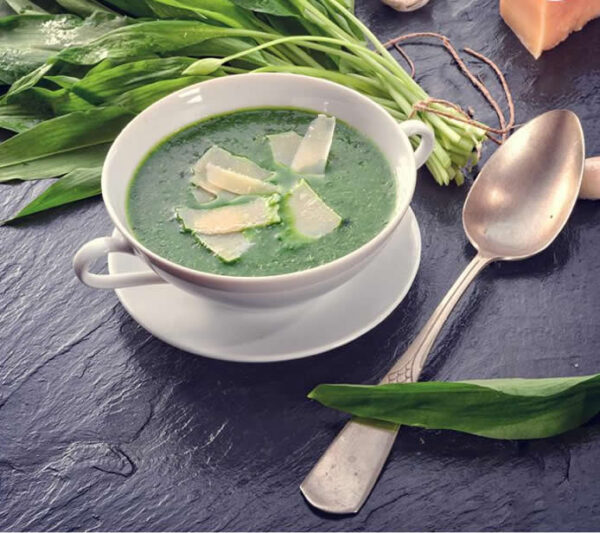 wild garlic soup